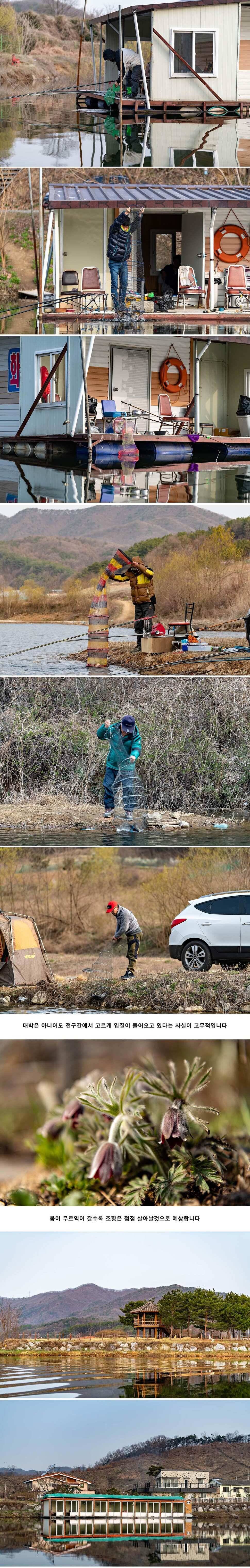 안성 두메낚시터 4월 6일 조황정보 (유료터정보 - 유료터점주조황)