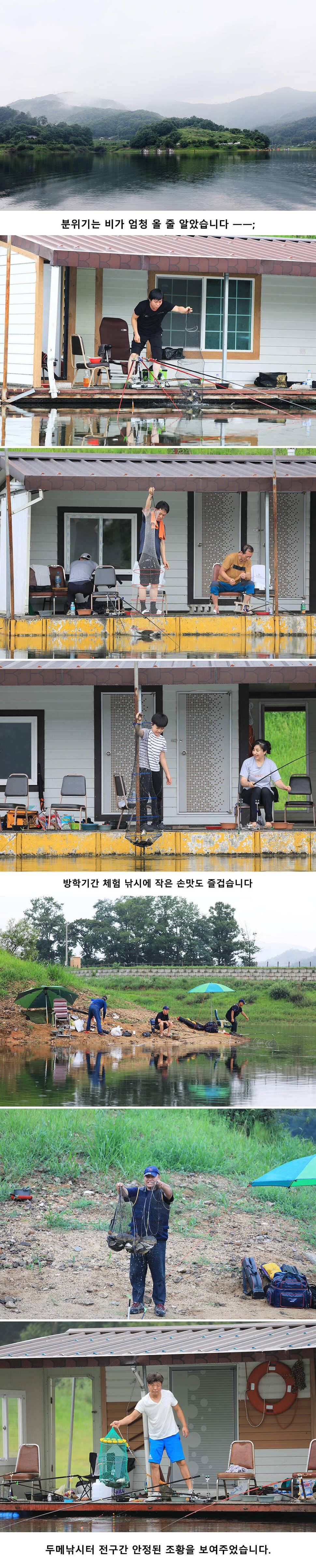 안성 두메낚시터 7월28일 조황안내 (유료터정보 - 유료터점주조황)