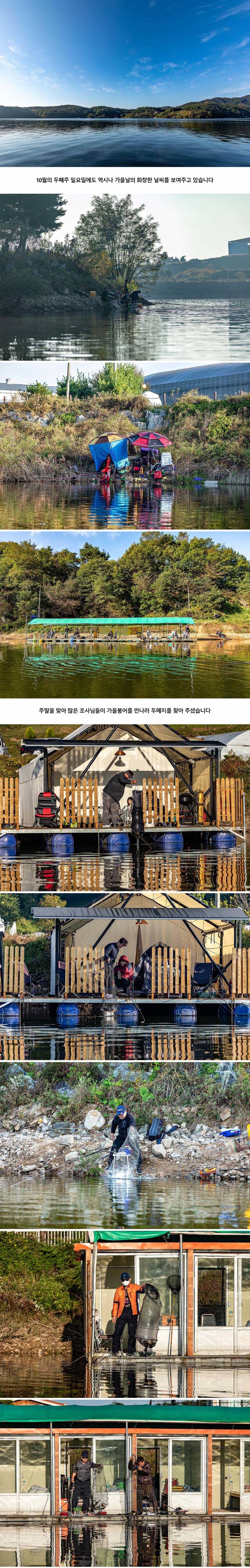 안성 두메낚시터 10월 11일 조황정보 (유료터정보 - 유료터점주조황)