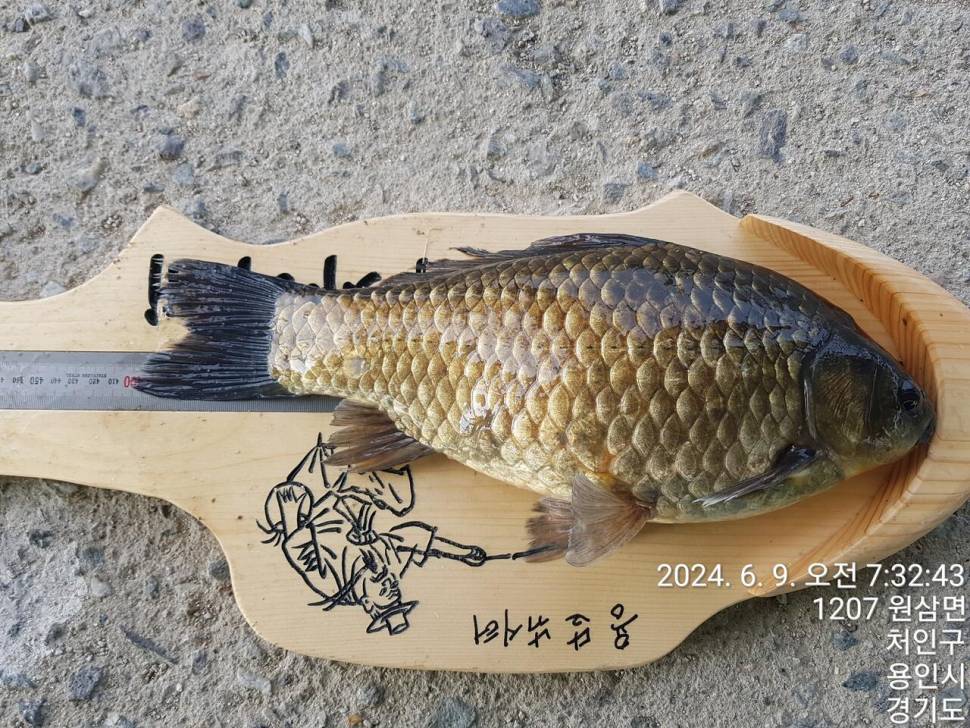 2024년 6월 둘째주 조황정보 용담낚시터사암지 4짜 4마리 (유료터정보 - 유료터점주조황)