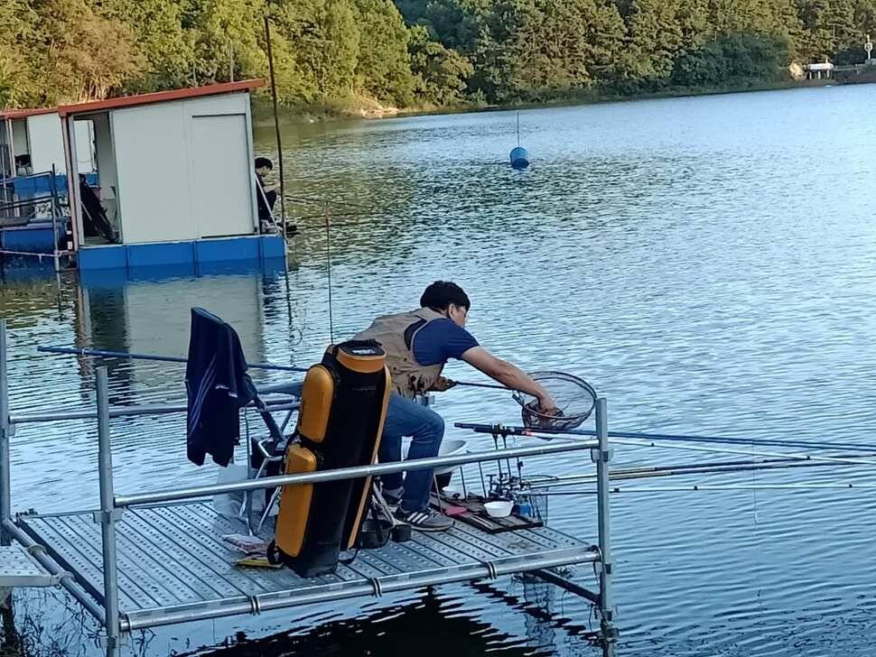 양평낚시터 힐링 수곡낚시터 주말 일요일 조황 및 붕어방류 (유료터정보 - 유료터점주조황)
