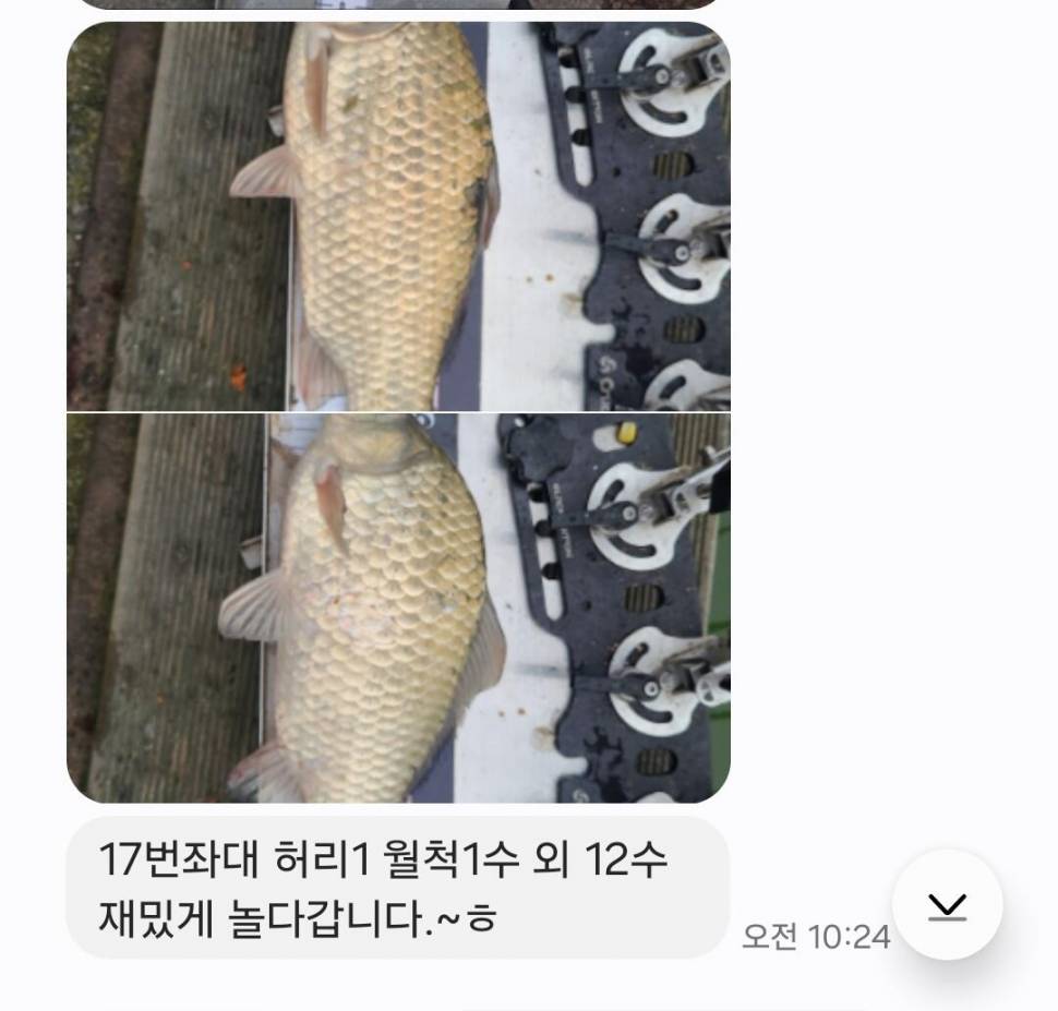 2024년 8월 셋째주 조황정보 용담낚시터사암지48cm외 4짜 1마리 (유료터정보 - 유료터점주조황)