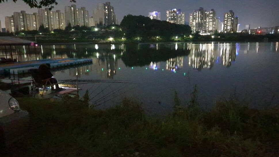 아산 명품 월랑낚시터 5월 네번째 조황이야기입니다 (유료터정보 - 유료터점주조황)