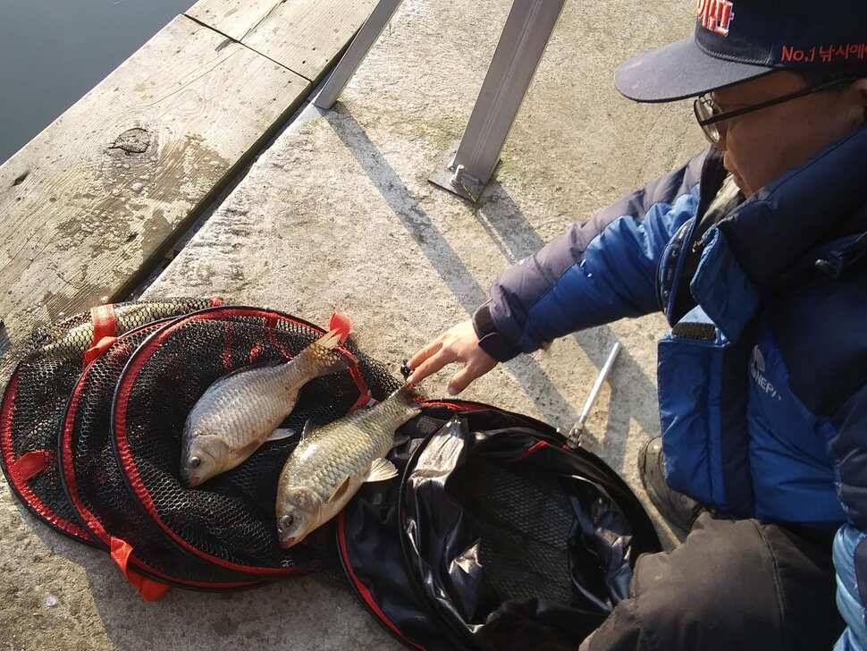 양평 힐링 수곡낚시터 바닥 토종대물 4짜 포함 붕어 마릿수도 꾸준히 늘어납니다 (유료터정보 - 유료터점주조황)