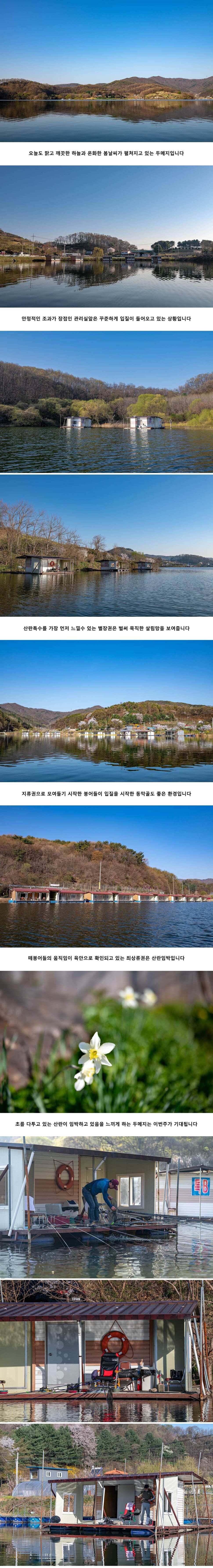 안성 두메낚시터 4월 17일 조황정보 (유료터정보 - 유료터점주조황)