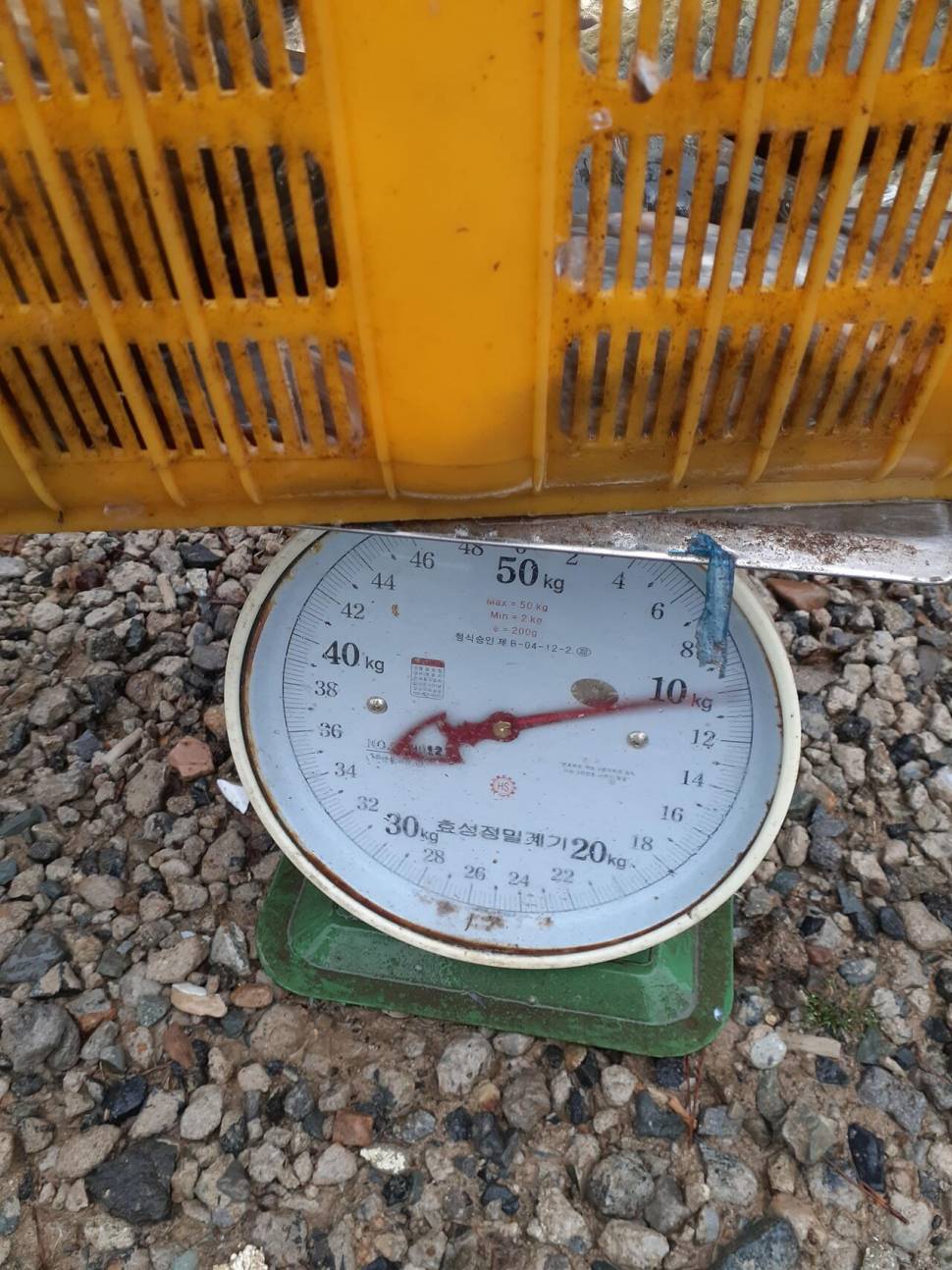 경주 동산낚시터붕어 전용잡이터지난주 조황 (유료터정보 - 유료터점주조황)