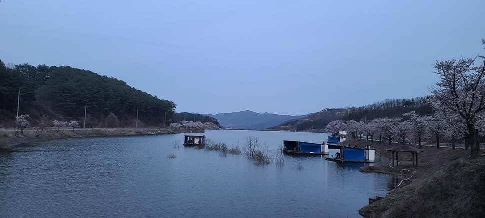 공주 고성낚시터 입니다 (유료터정보 - 유료터점주조황)