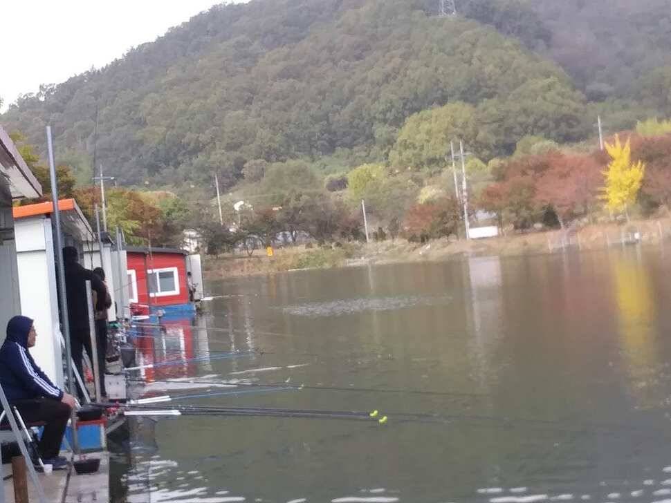 양평 수곡낚시터 대박조황은 아니지만 고른 조황이 나와줍니다 (유료터정보 - 유료터점주조황)