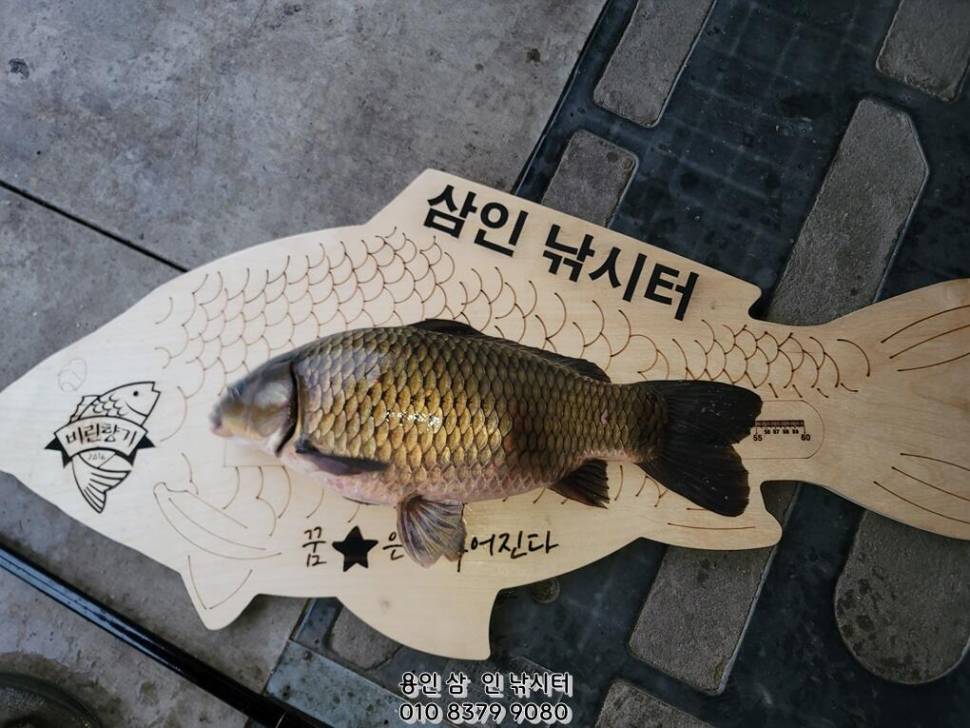 가깝고 물 좋고 경치 좋은 곳용인삼인낚시터 (유료터정보 - 유료터점주조황)