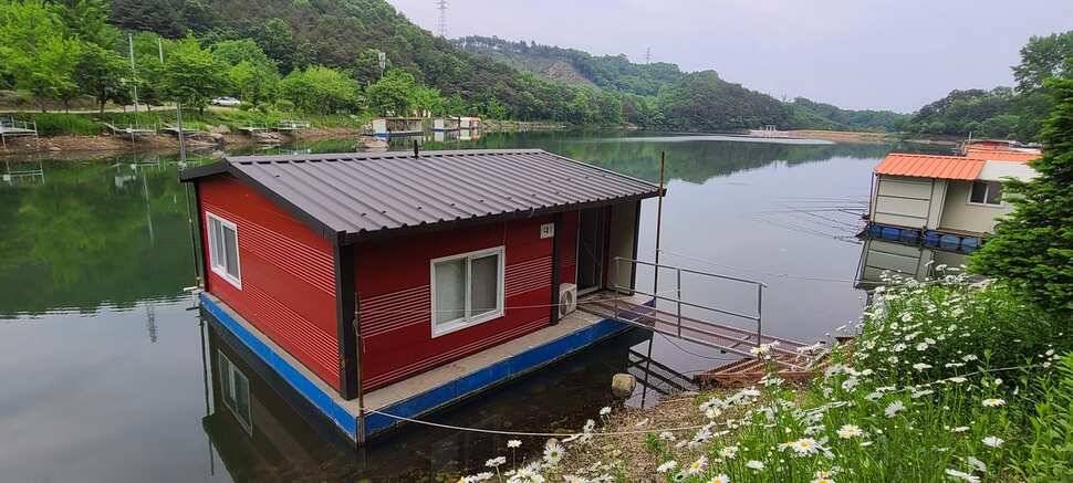 수곡지 양평 수곡낚시터 5월네째주 주말 조황 입질시간대 파악이 중요한듯합니다 (유료터정보 - 유료터점주조황)
