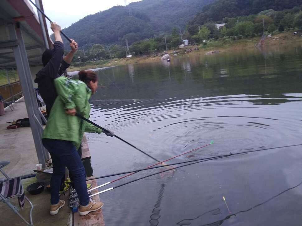 양평 수곡낚시터 한가위 연휴 무휴 개장 금일 조황 및 붕어방류 안내 (유료터정보 - 유료터점주조황)