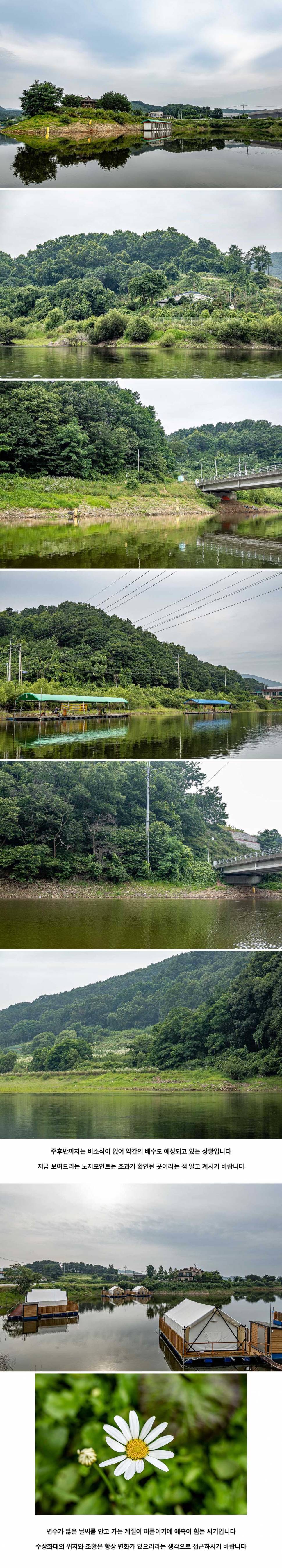 안성 두메낚시터 7월 6일 조황정보 (유료터정보 - 유료터점주조황)