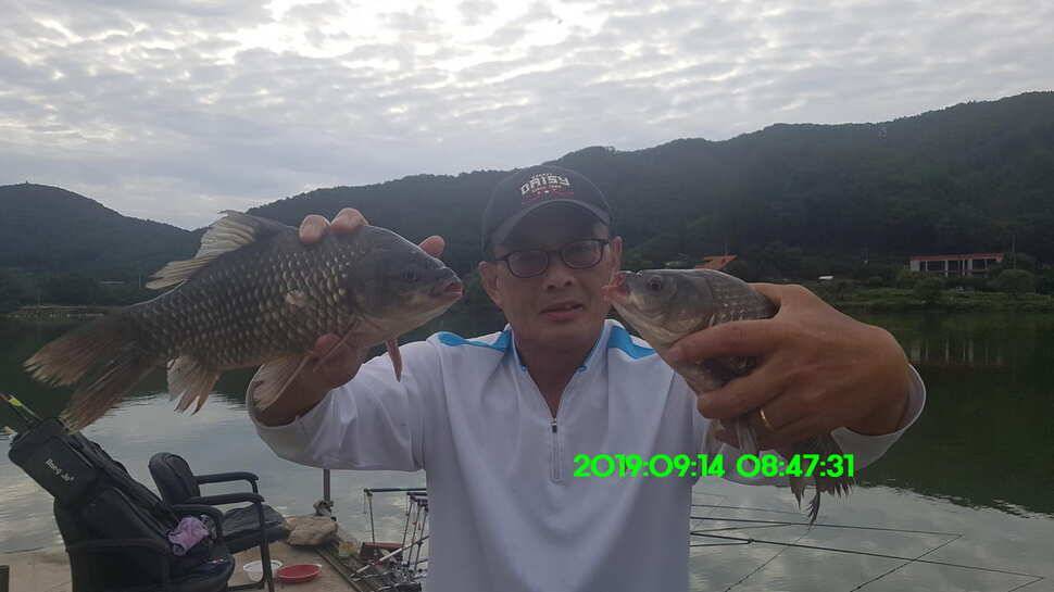 신원낚시터 토종대물 덩어리와 4짜가 마릿수로 (유료터정보 - 유료터점주조황)