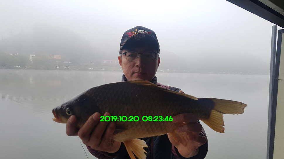 신원낚시터 10월21일 토종 49센티 붕어 구경하시고 가시겠습니다 (유료터정보 - 유료터점주조황)