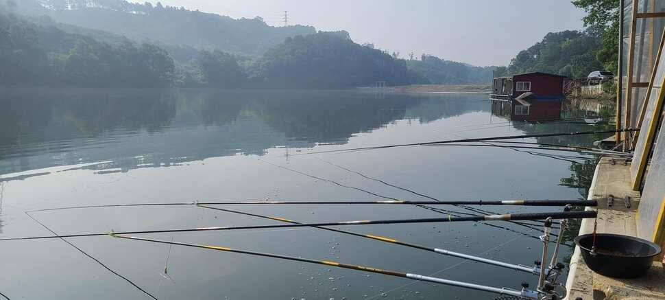 양평낚시터 수곡낚시터 주중조황이 꾸준히 좋네요 오늘도 방류 완료했습니다 (유료터정보 - 유료터점주조황)