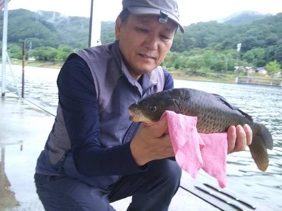 수곡낚시터 연휴 붕어조황 더 좋아졌으며 내일도 붕어방류 합니다 (유료터정보 - 유료터점주조황)
