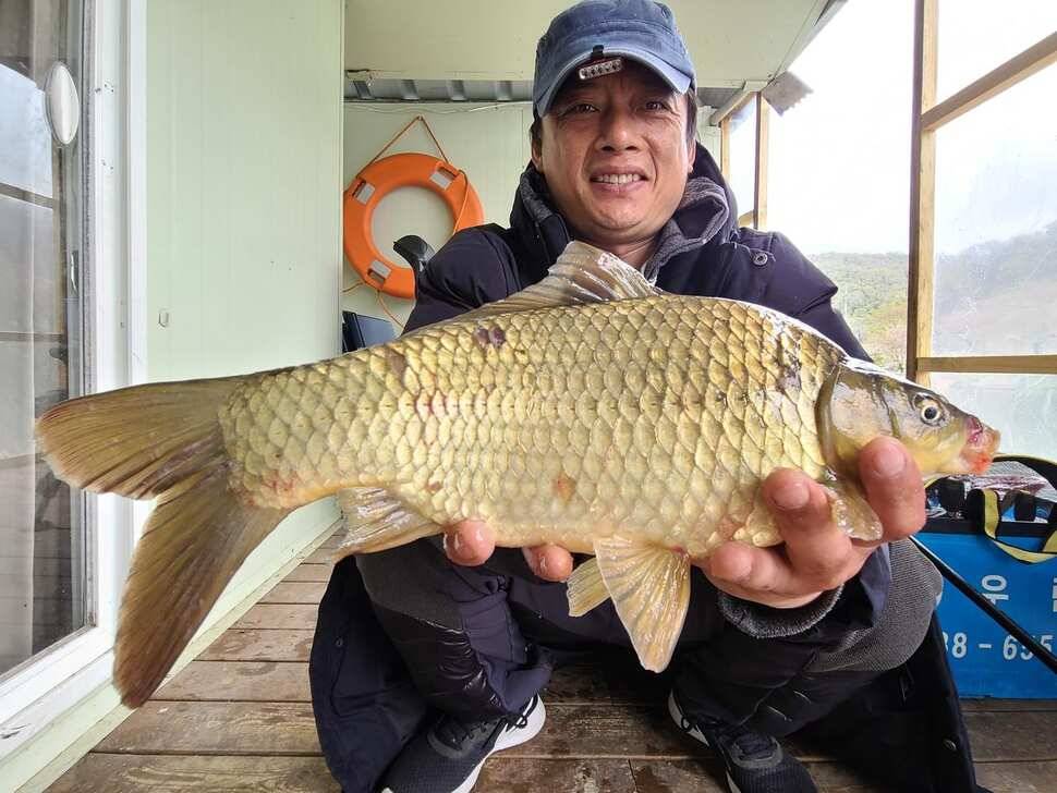 양평 수곡낚시터 4짜급 대물붕어 포함 마릿수도 좋아지며 내일도 붕어방류 합니다 (유료터정보 - 유료터점주조황)