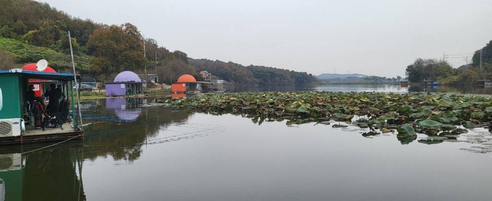 당진 가교리 낚시터 11월 19일 조황입니다 (유료터정보 - 유료터점주조황)