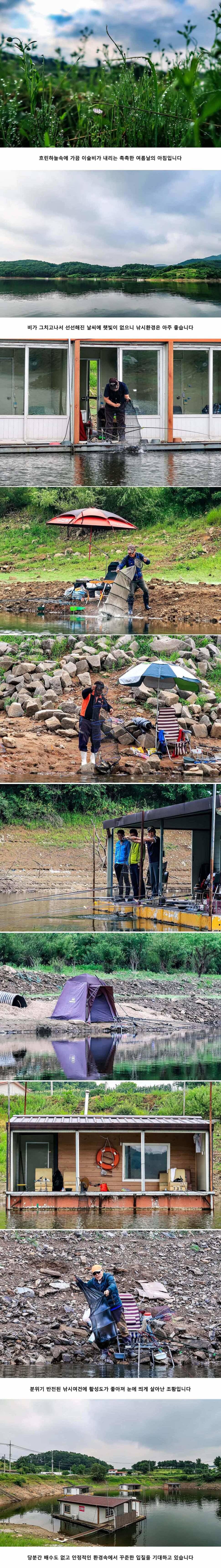 안성 두메낚시터 7월 12일 조황정보 (유료터정보 - 유료터점주조황)