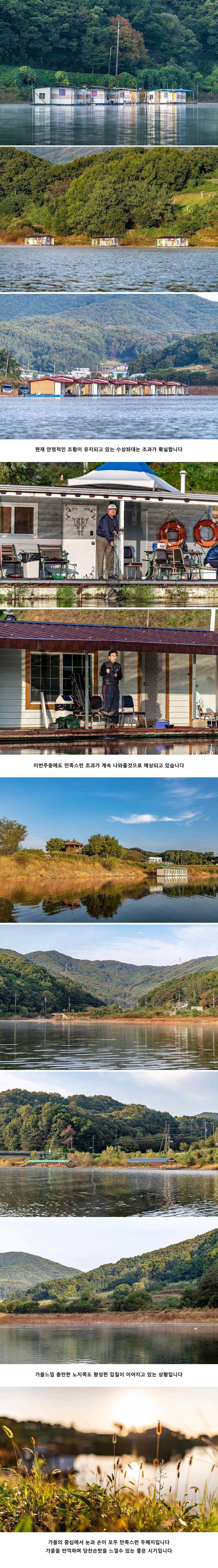 안성 두메낚시터 10월 14일 조황정보 (유료터정보 - 유료터점주조황)