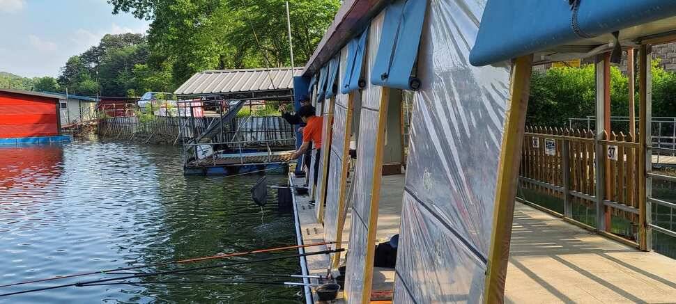 양평 수곡 낚시터 주중 조황도 꾸준합니다 오늘도 붕어방류 완료했습니다 (유료터정보 - 유료터점주조황)
