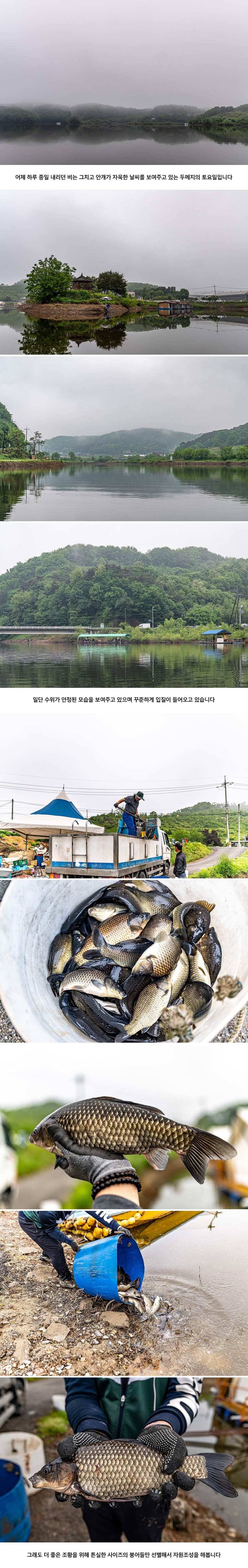 안성 두메낚시터 5월 16일 조황정보 (유료터정보 - 유료터점주조황)