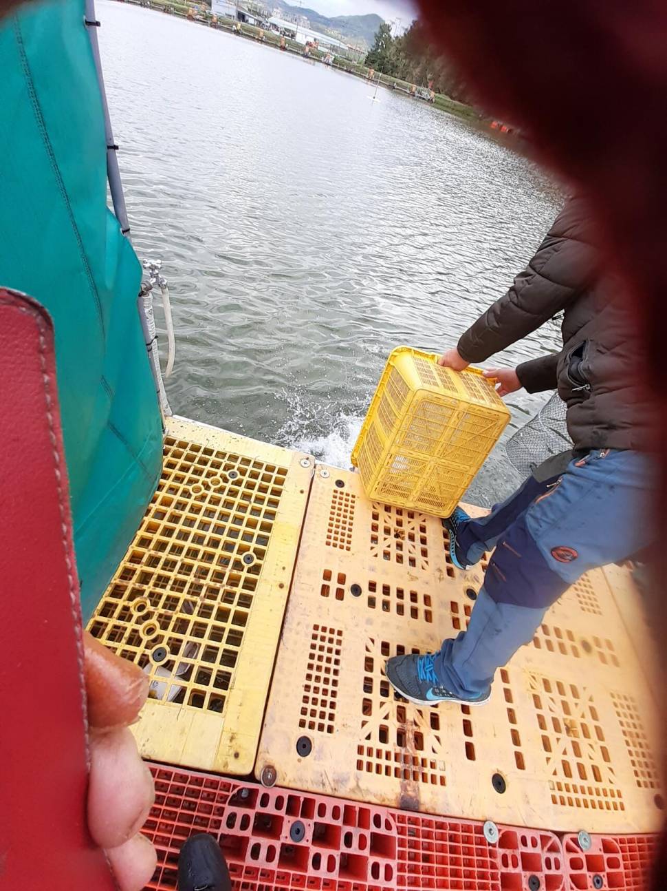 경주 동산낚시터붕어 전용잡이터지난주 조황 (유료터정보 - 유료터점주조황)