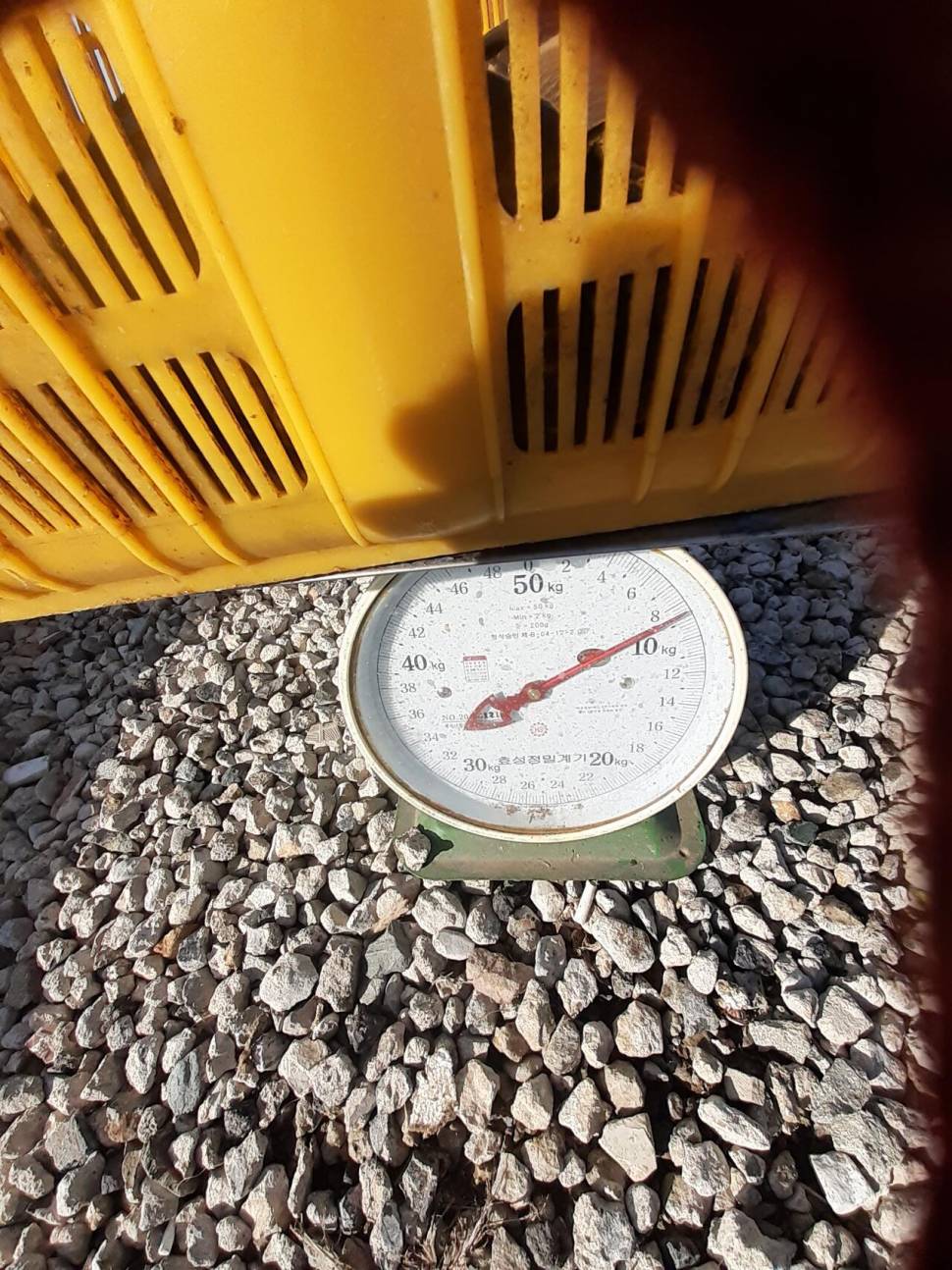경주동산낚시터붕어 전용잡이터지난주 조황 (유료터정보 - 유료터점주조황)