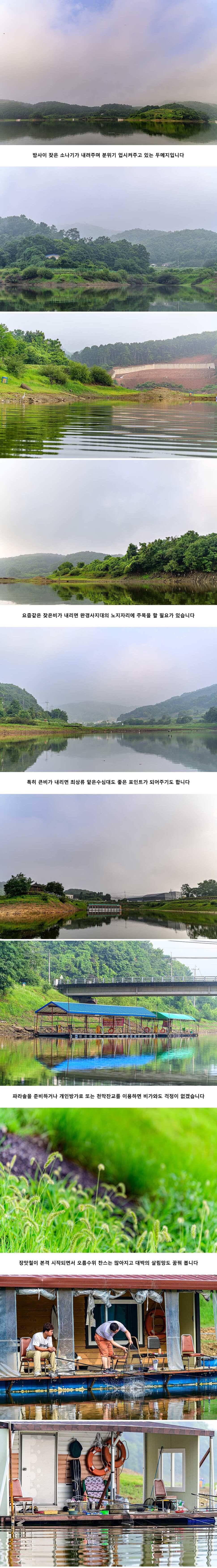 안성 두메낚시터 7월 18일 조황정보 (유료터정보 - 유료터점주조황)