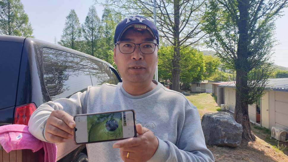 4 월 26 일 거청낚시터 붕어 조황 (유료터정보 - 유료터점주조황)