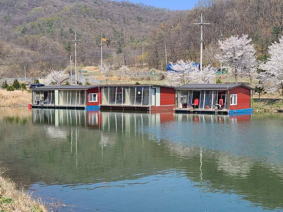 힐링 양평 수곡낚시터 4짜 대물붕어 포함 주중조황 및 붕어방류 안내 (유료터정보 - 유료터점주조황)