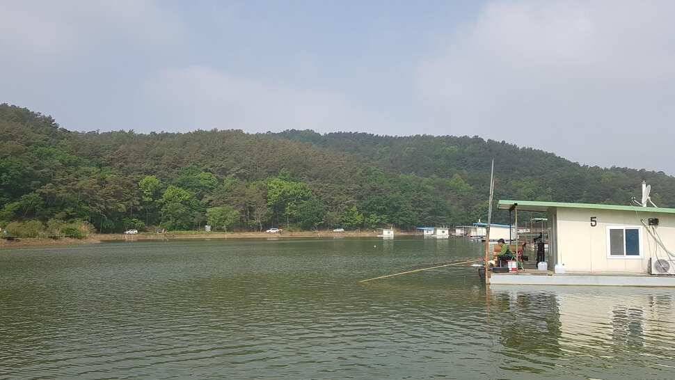 주중조황 입니다 (유료터정보 - 유료터점주조황)