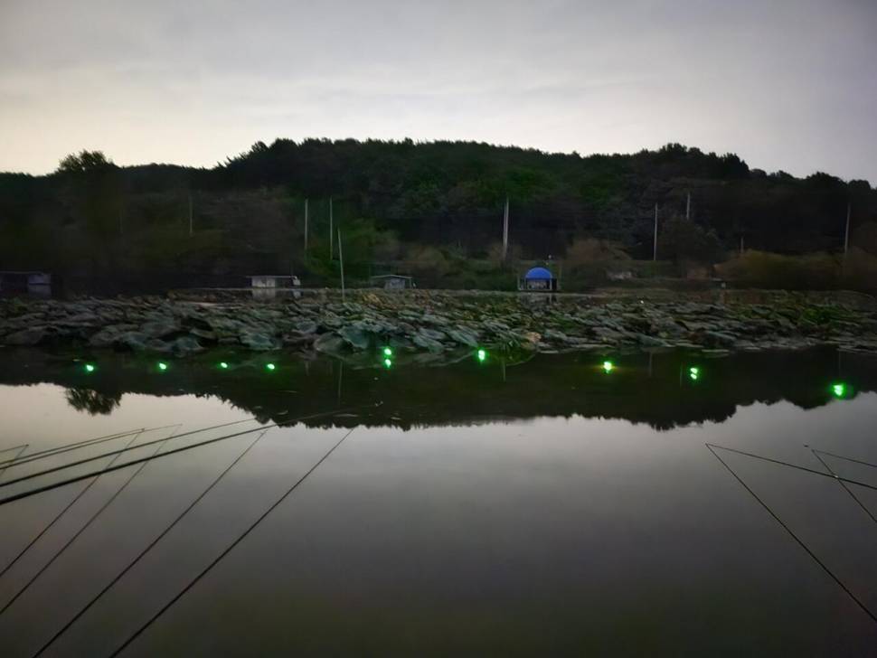 당진 가교리 낚시터 10월 24일 조황입니다 (유료터정보 - 유료터점주조황)