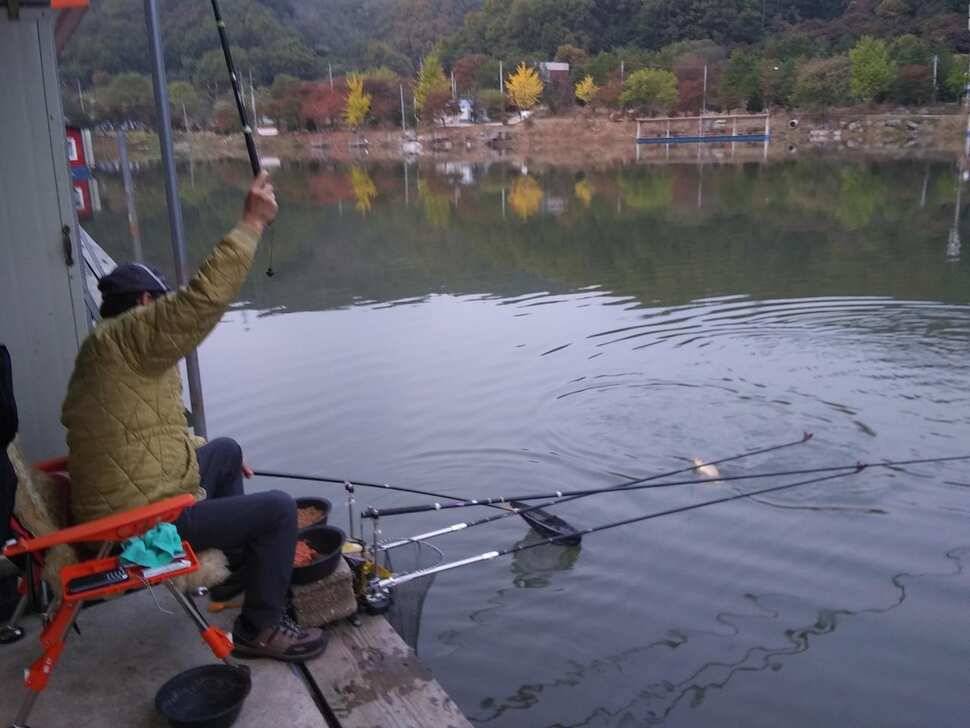 양평 힐링 수곡낚시터 바닥 토종대물 4짜 포함 붕어 마릿수도 꾸준히 늘어납니다 (유료터정보 - 유료터점주조황)