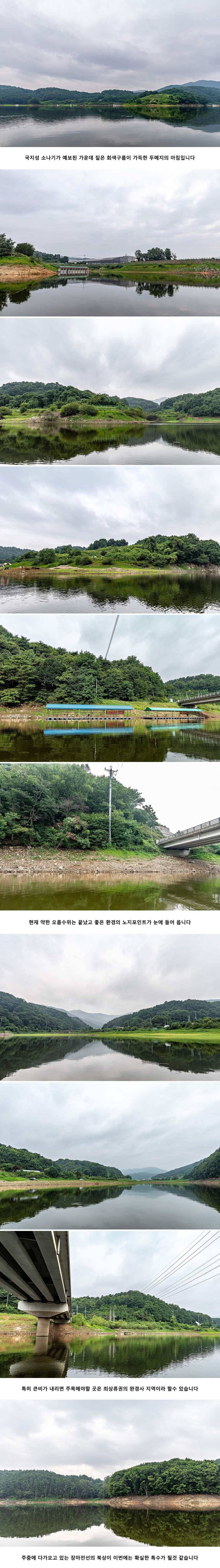 안성 두메낚시터 7월 23일 조황정보 (유료터정보 - 유료터점주조황)