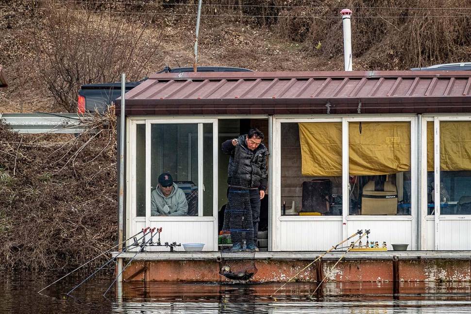 안성 두메낚시터 11월 26일 조황정보 (유료터정보 - 유료터점주조황)