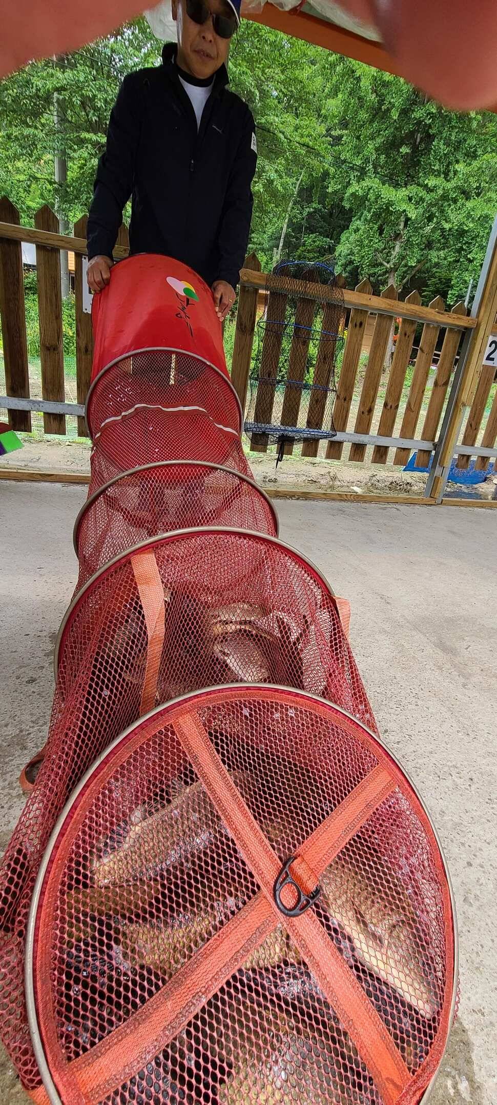 양평낚시터 힐링 수곡낚시터 고르고 꾸준한 조황입니다 (유료터정보 - 유료터점주조황)