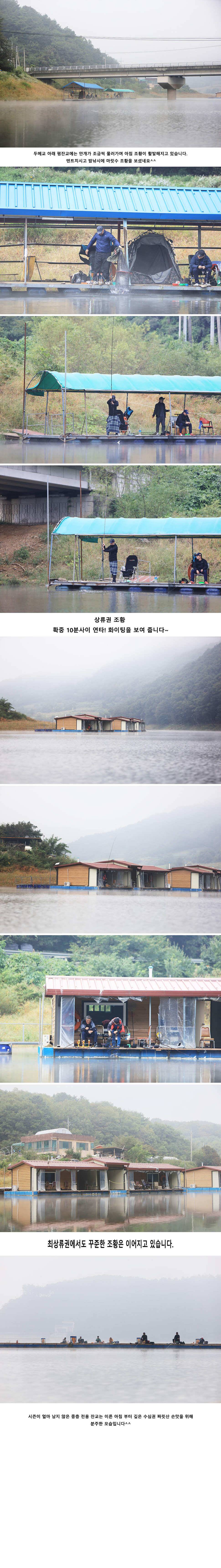 안성 두메낚시터 9월24일 조황안내 (유료터정보 - 유료터점주조황)