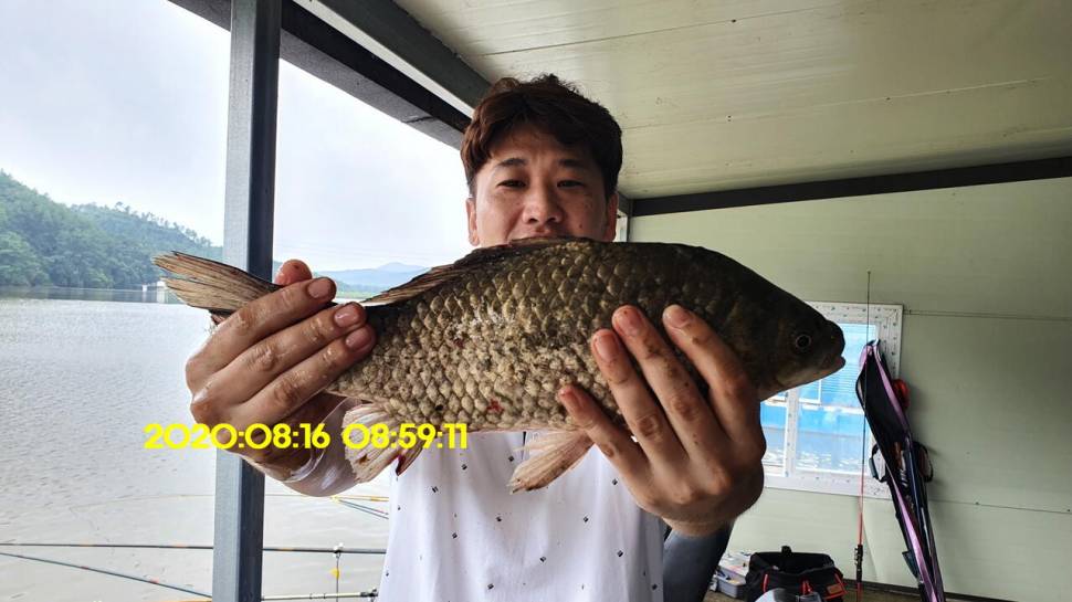 신원낚시터 8월16일 토종붕어 4짜와 덩어리 사진입니다 (유료터정보 - 유료터점주조황)
