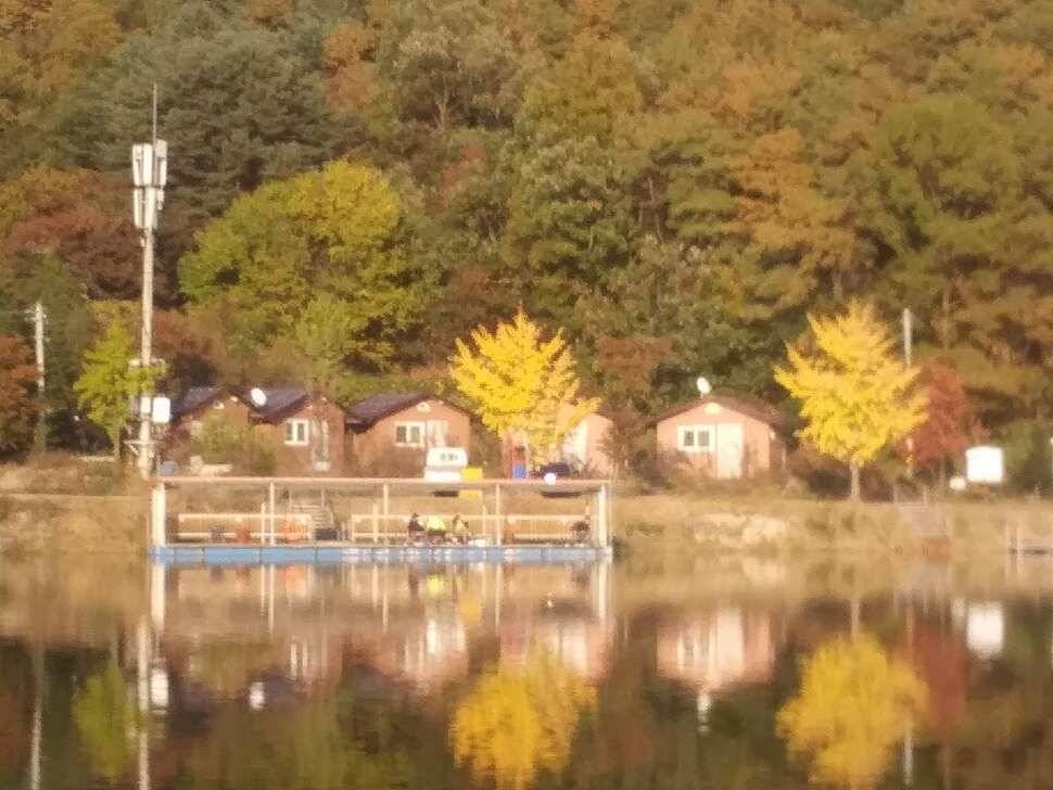 수곡낚시터 붕어조과 고르고 꾸준한 조황으로 잘 나와줍니다 금일 붕어 방류 완료 (유료터정보 - 유료터점주조황)