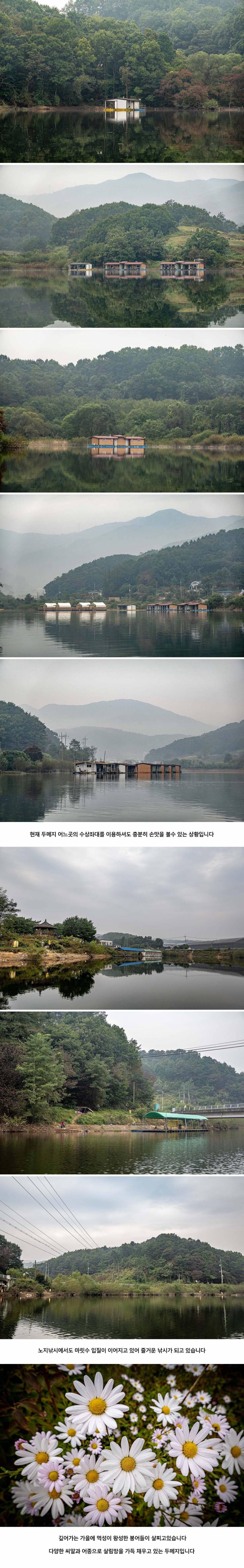 안성 두메낚시터 10월 12일 조황정보 (유료터정보 - 유료터점주조황)