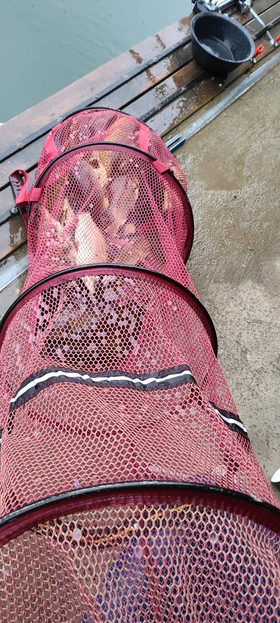 양평 힐링 수곡낚시터 5월둘재주 토일요일 조황 및 붕어방류 (유료터정보 - 유료터점주조황)
