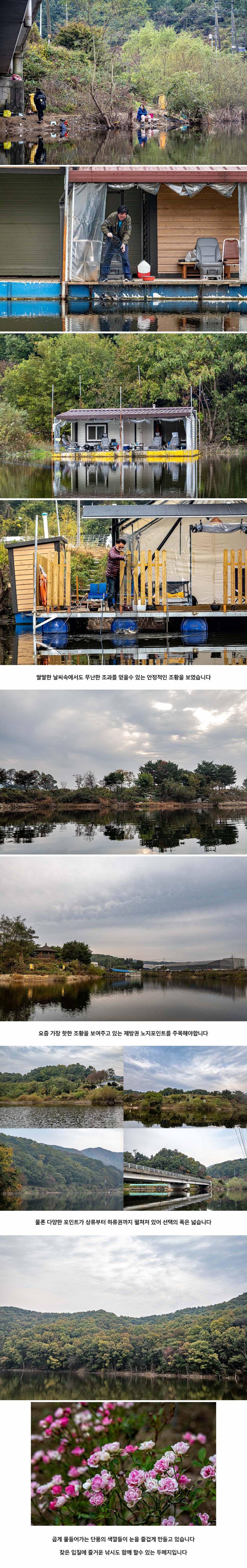 안성 두메낚시터 10월 21일 조황정보 (유료터정보 - 유료터점주조황)