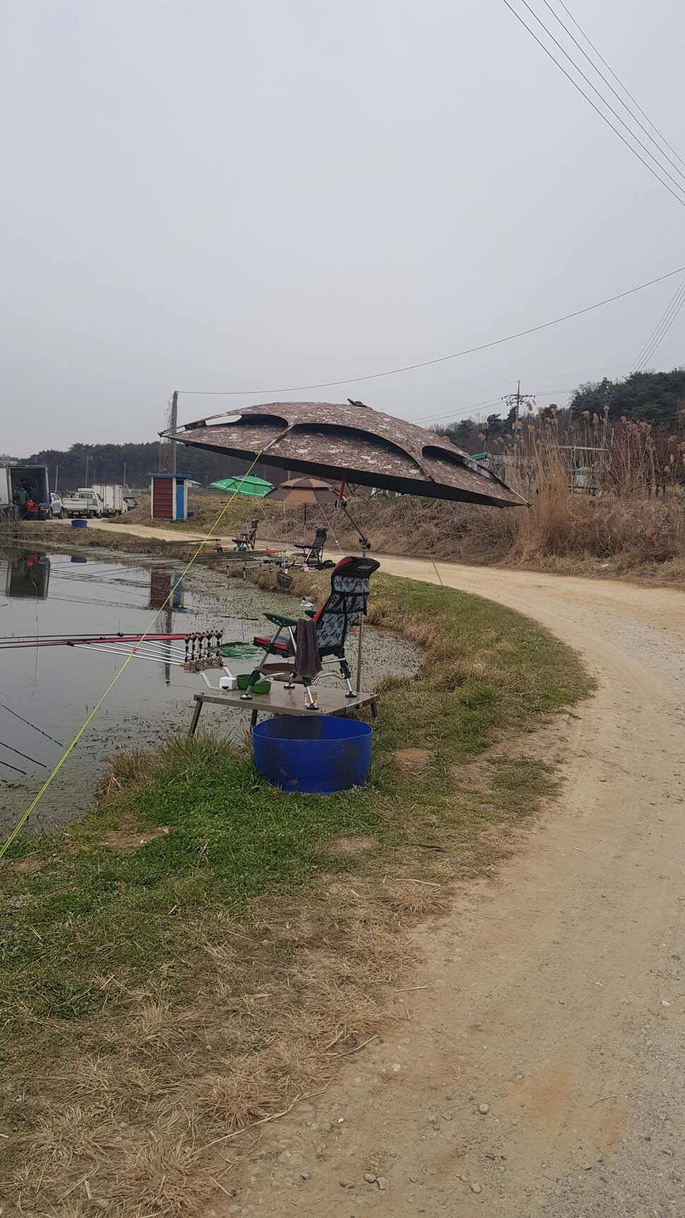 당진 가교리낚시터 4월 10일 토종붕어 조황 (유료터정보 - 유료터점주조황)