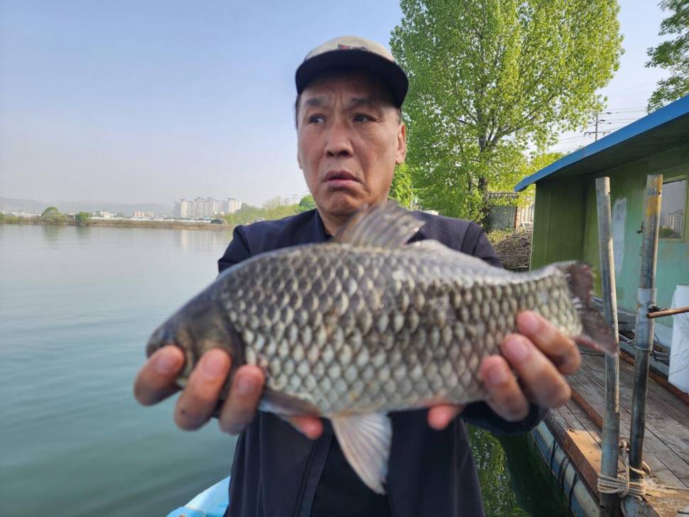 송전지 창신좌대 조황정보 (유료터정보 - 유료터점주조황)