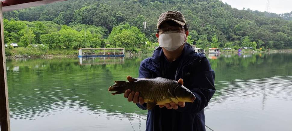 6월 첫주말 금 토요일 수곡낚시터 조황 및 붕어 방류 안내 (유료터정보 - 유료터점주조황)
