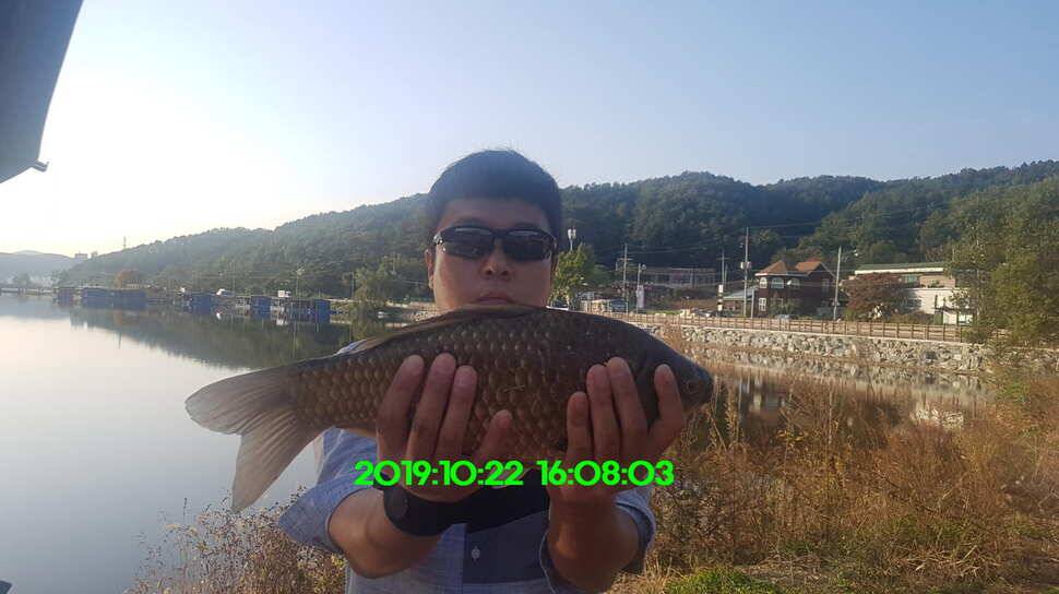 신원낚시터 토종48짜리가 또다시 나와주네요 (유료터정보 - 유료터점주조황)