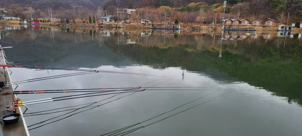 봄붕어낚시 힐링 양평 수곡낚시터 세째주말 조황 붕어방류 (유료터정보 - 유료터점주조황)