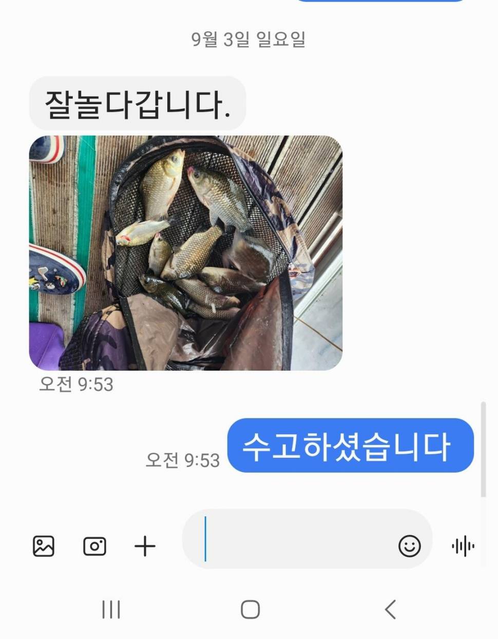 2023년 9월 둘째주 조황정보 용담낚시터사암지 (유료터정보 - 유료터점주조황)