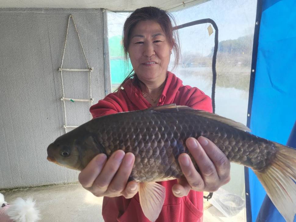 당진 가교리 낚시터 4월 2일 조황입니다 (유료터정보 - 유료터점주조황)